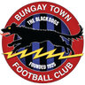 Bungay Town