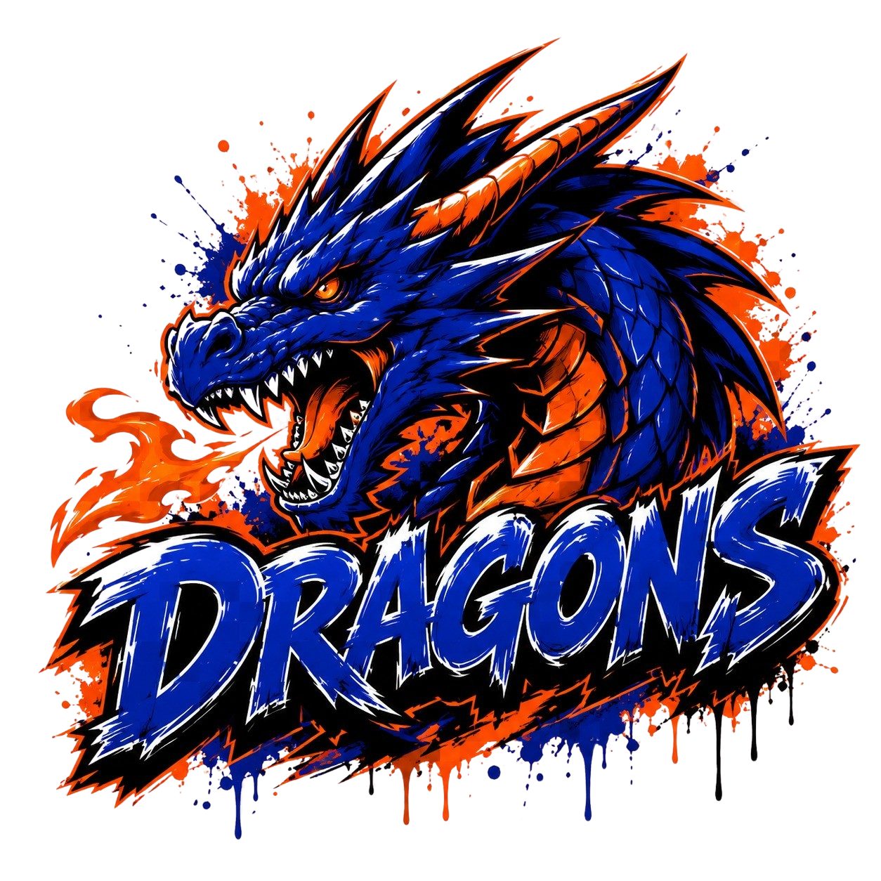 Under 12 Dragons