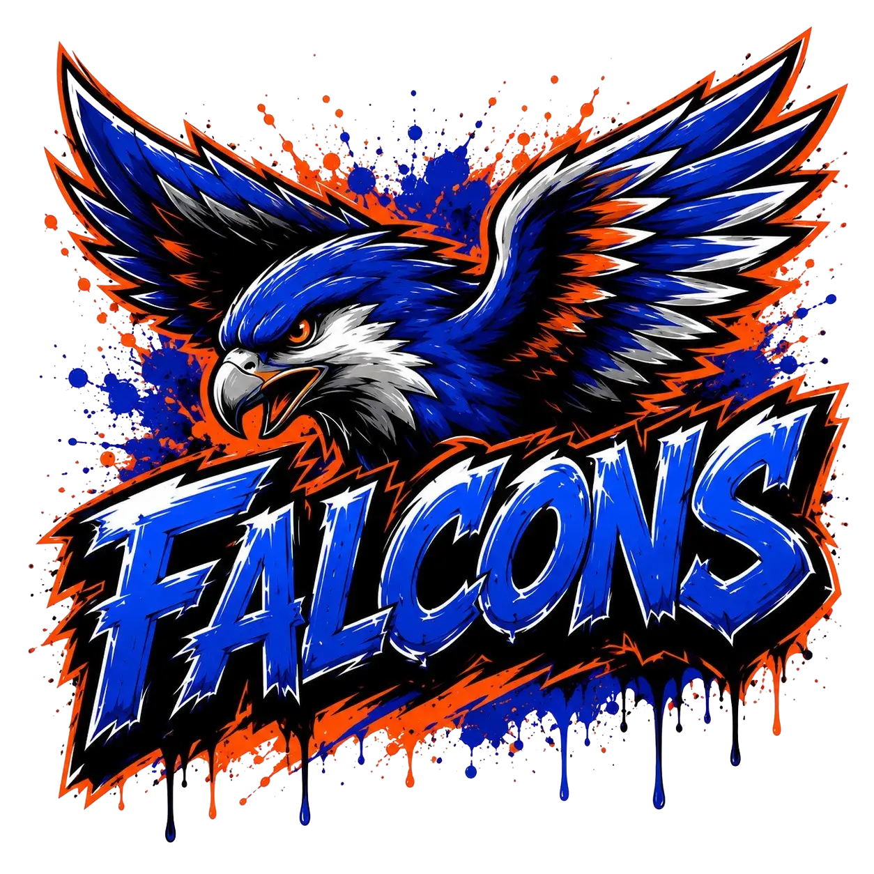 Under 12 Falcons