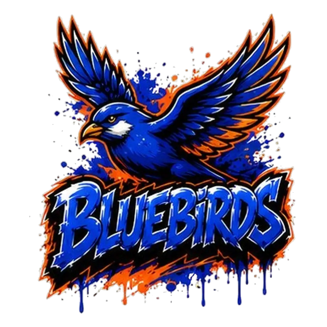 Under 11 Bluebirds