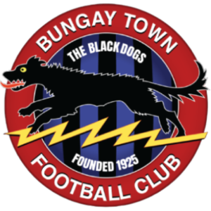 Bungay Town F.C. U16 Blackdogs