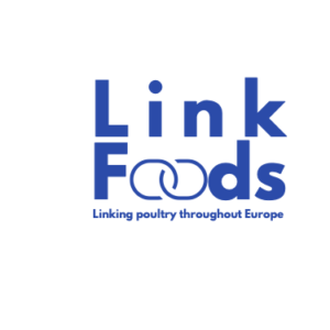 Link Foods logo