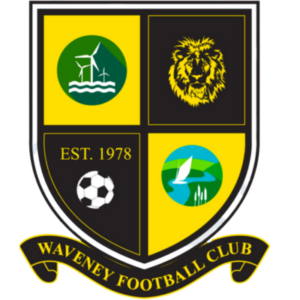 Waveney F.C. U16 Lions